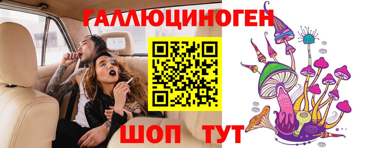 Псилоцибиновые грибы Cubensis  Клин  Псилоцибиновые грибы мицелий 