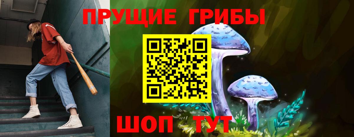 купить  цена  Псилоцибиновые грибы Psilocybe  Вход с VPN  Клин 
